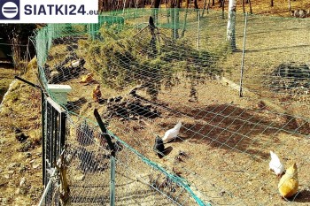 Siatki Wałbrzych - Siatka na woliery - zabezpieczenia ptaków w hodowli dla terenów Wałbrzycha
